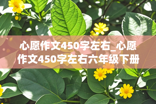 心愿作文450字左右_心愿作文450字左右六年级下册