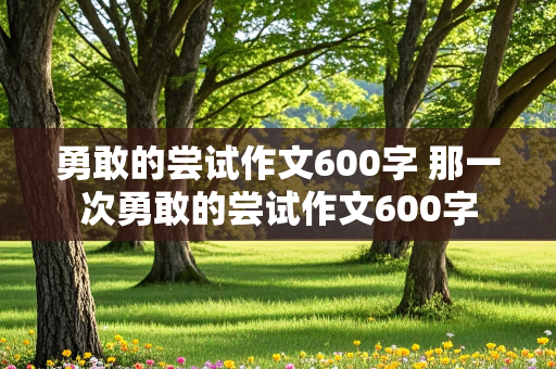 勇敢的尝试作文600字 那一次勇敢的尝试作文600字