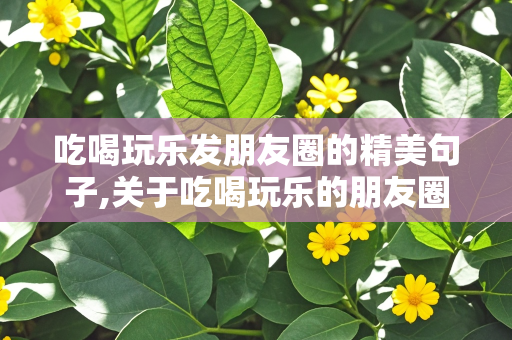 吃喝玩乐发朋友圈的精美句子,关于吃喝玩乐的朋友圈