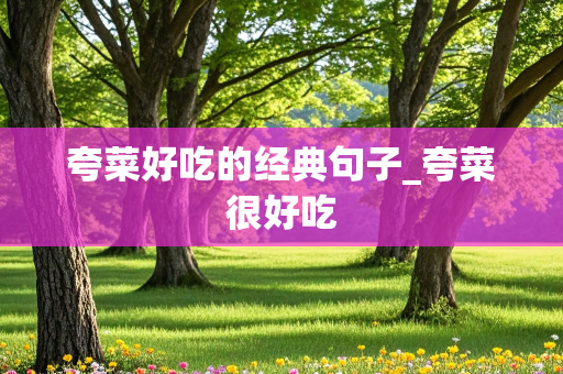 夸菜好吃的经典句子_夸菜很好吃