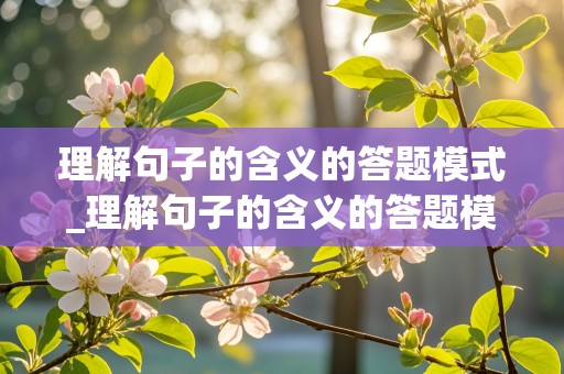 理解句子的含义的答题模式_理解句子的含义的答题模式 小石老师