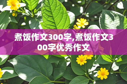 煮饭作文300字,煮饭作文300字优秀作文