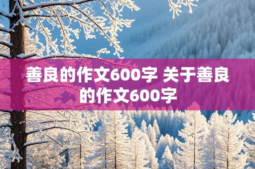 善良的作文600字 关于善良的作文600字