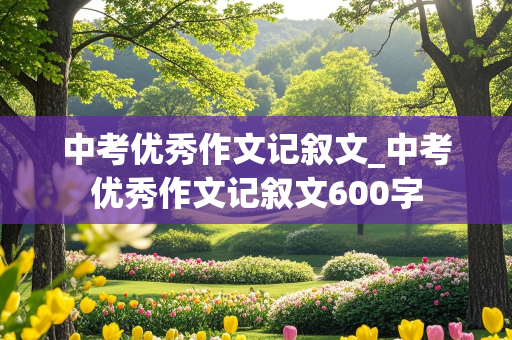 中考优秀作文记叙文_中考优秀作文记叙文600字