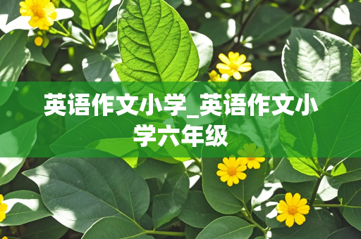 英语作文小学_英语作文小学六年级