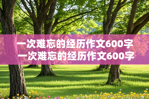 一次难忘的经历作文600字 一次难忘的经历作文600字左右