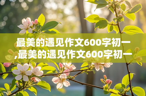 最美的遇见作文600字初一,最美的遇见作文600字初一免费