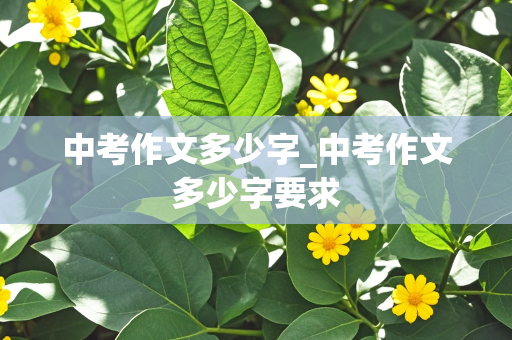 中考作文多少字_中考作文多少字要求