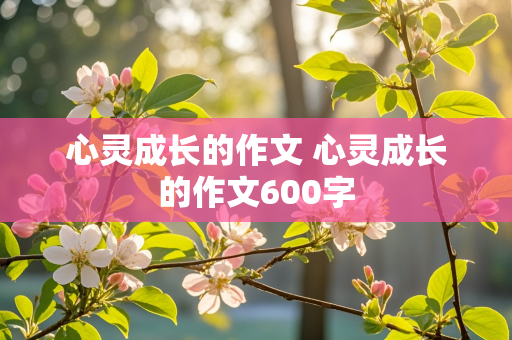 心灵成长的作文 心灵成长的作文600字