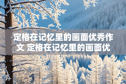 定格在记忆里的画面优秀作文 定格在记忆里的画面优秀作文400字