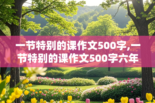 一节特别的课作文500字,一节特别的课作文500字六年级