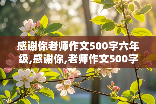 感谢你老师作文500字六年级,感谢你,老师作文500字六年级