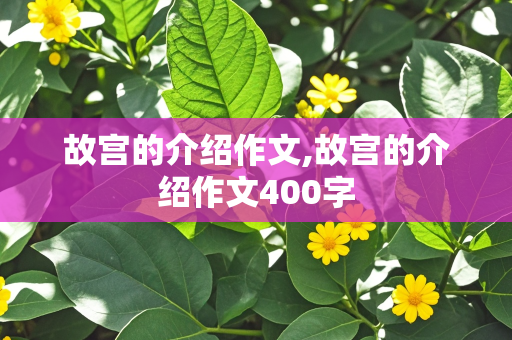 故宫的介绍作文,故宫的介绍作文400字