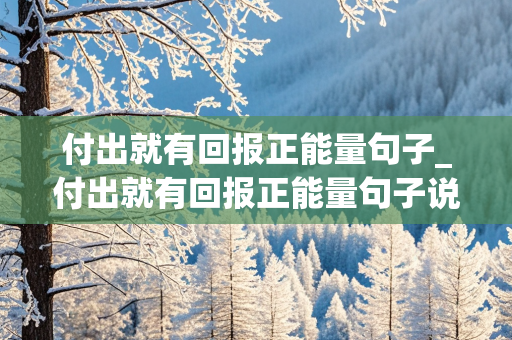 付出就有回报正能量句子_付出就有回报正能量句子说说