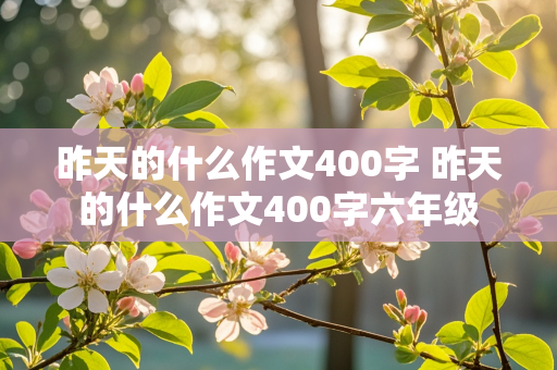 昨天的什么作文400字 昨天的什么作文400字六年级