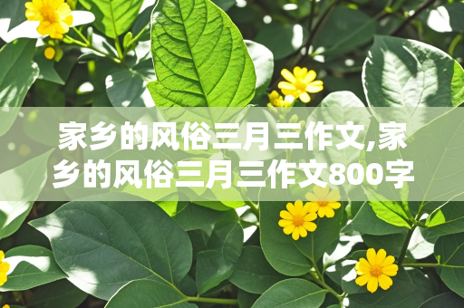 家乡的风俗三月三作文,家乡的风俗三月三作文800字