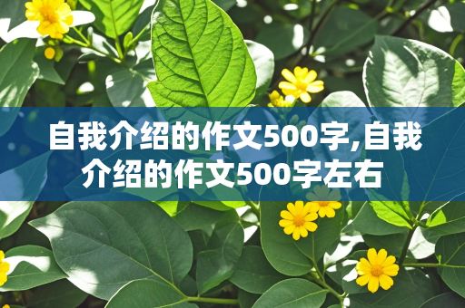 自我介绍的作文500字,自我介绍的作文500字左右