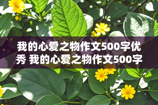 我的心爱之物作文500字优秀 我的心爱之物作文500字优秀作文