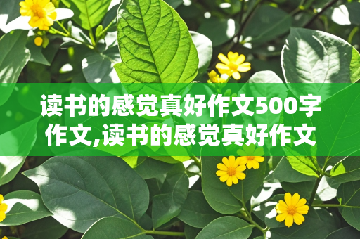 读书的感觉真好作文500字作文,读书的感觉真好作文500字作文六年级