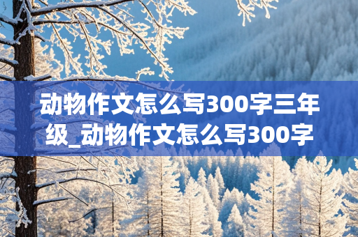 动物作文怎么写300字三年级_动物作文怎么写300字三年级小猫