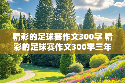 精彩的足球赛作文300字 精彩的足球赛作文300字三年级