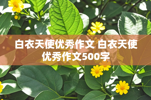 白衣天使优秀作文 白衣天使优秀作文500字