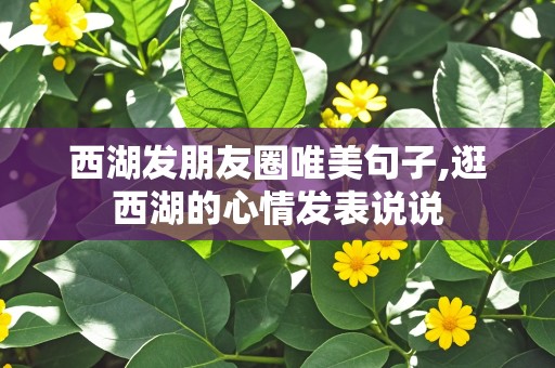 西湖发朋友圈唯美句子,逛西湖的心情发表说说