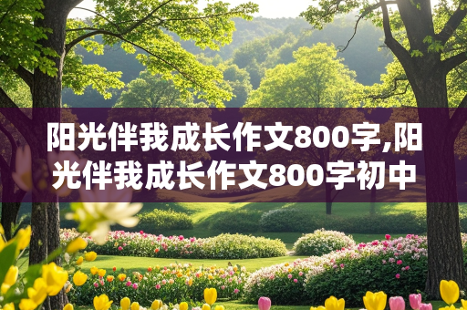 阳光伴我成长作文800字,阳光伴我成长作文800字初中