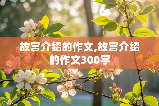 故宫介绍的作文,故宫介绍的作文300字