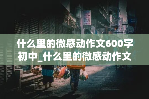 什么里的微感动作文600字初中_什么里的微感动作文600字初三