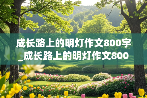 成长路上的明灯作文800字_成长路上的明灯作文800字初中