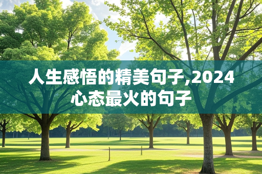 人生感悟的精美句子,2024心态最火的句子