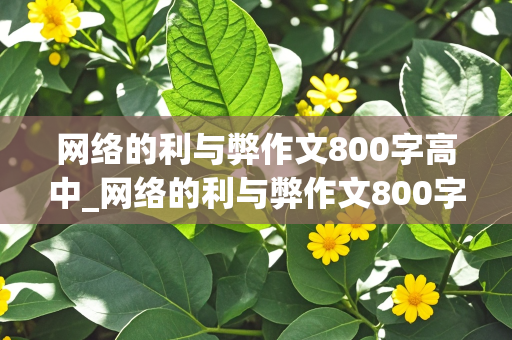 网络的利与弊作文800字高中_网络的利与弊作文800字高中议论文