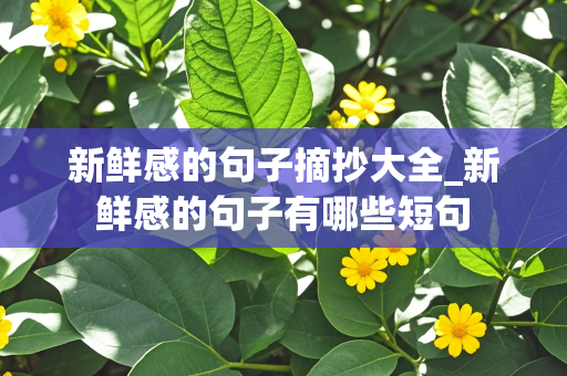 新鲜感的句子摘抄大全_新鲜感的句子有哪些短句