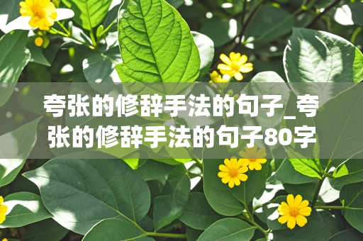 夸张的修辞手法的句子_夸张的修辞手法的句子80字