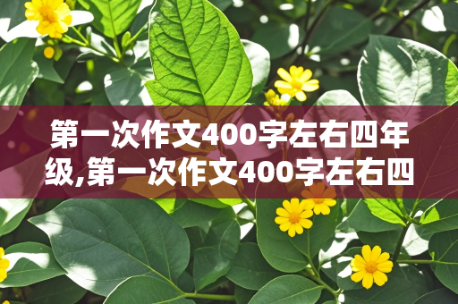 第一次作文400字左右四年级,第一次作文400字左右四年级上册