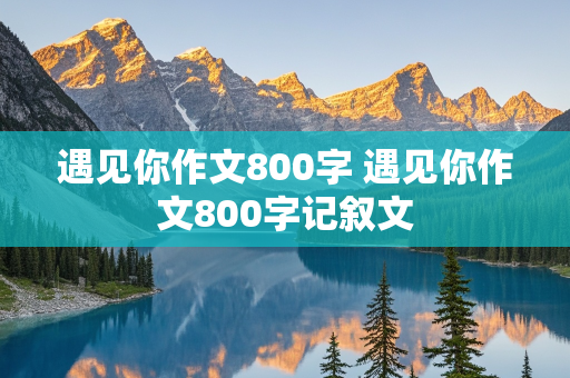 遇见你作文800字 遇见你作文800字记叙文