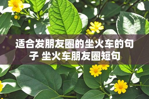 适合发朋友圈的坐火车的句子 坐火车朋友圈短句