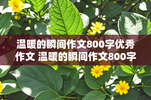 温暖的瞬间作文800字优秀作文 温暖的瞬间作文800字优秀作文初中