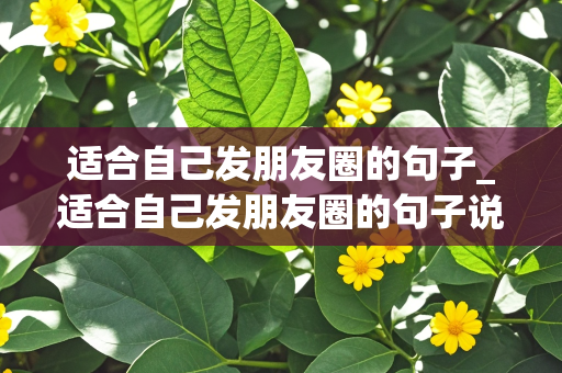 适合自己发朋友圈的句子_适合自己发朋友圈的句子说说