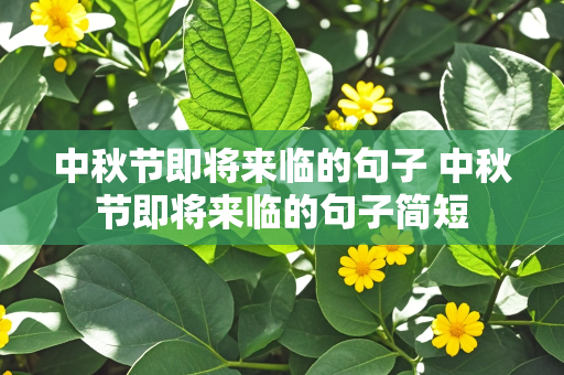 中秋节即将来临的句子 中秋节即将来临的句子简短