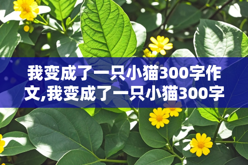 我变成了一只小猫300字作文,我变成了一只小猫300字作文三年级