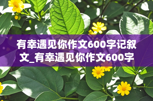 有幸遇见你作文600字记叙文_有幸遇见你作文600字记叙文老师