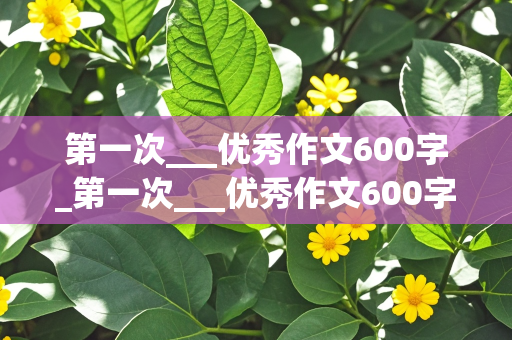 第一次___优秀作文600字_第一次___优秀作文600字免费