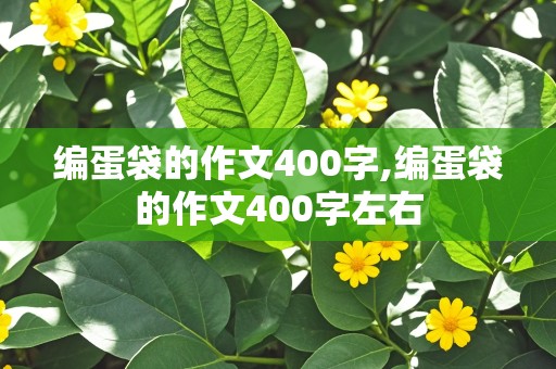 编蛋袋的作文400字,编蛋袋的作文400字左右