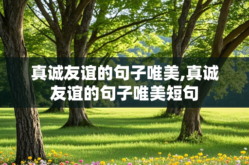 真诚友谊的句子唯美,真诚友谊的句子唯美短句