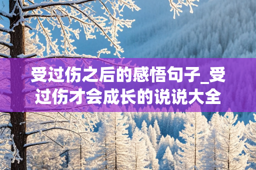 受过伤之后的感悟句子_受过伤才会成长的说说大全