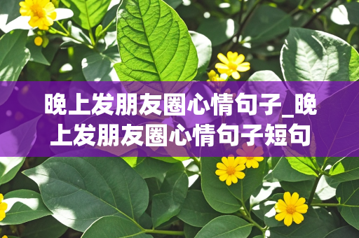 晚上发朋友圈心情句子_晚上发朋友圈心情句子短句