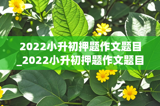 2022小升初押题作文题目_2022小升初押题作文题目大全