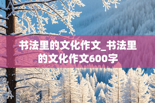 书法里的文化作文_书法里的文化作文600字